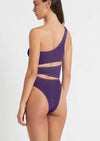 Bond Eye - The Rico One Piece Swimsuit in Dahlia Shimmer - OutDazl