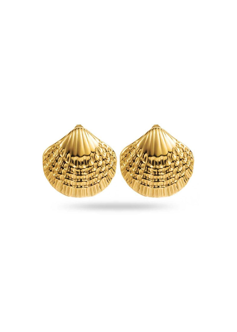 Textured Shell Earrings-OutDazl-OutDazl